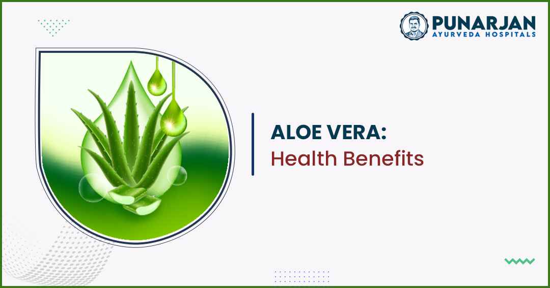 You are currently viewing Aloe Vera: Health Benefits