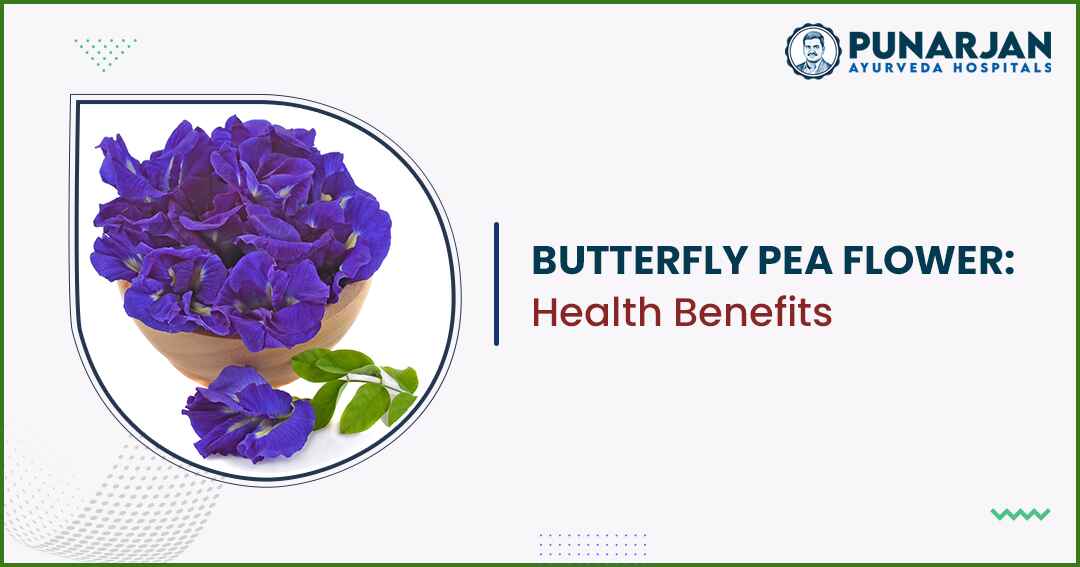 You are currently viewing Butterfly Pea Flower: Health Benefits