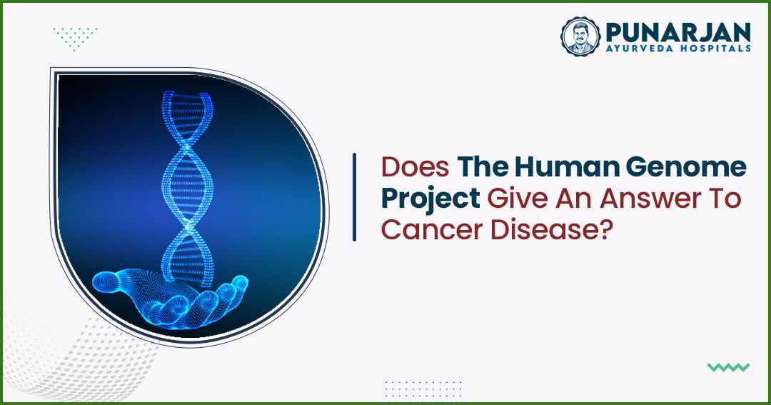 Human Genome Project Give An Answer To Cancer Disease