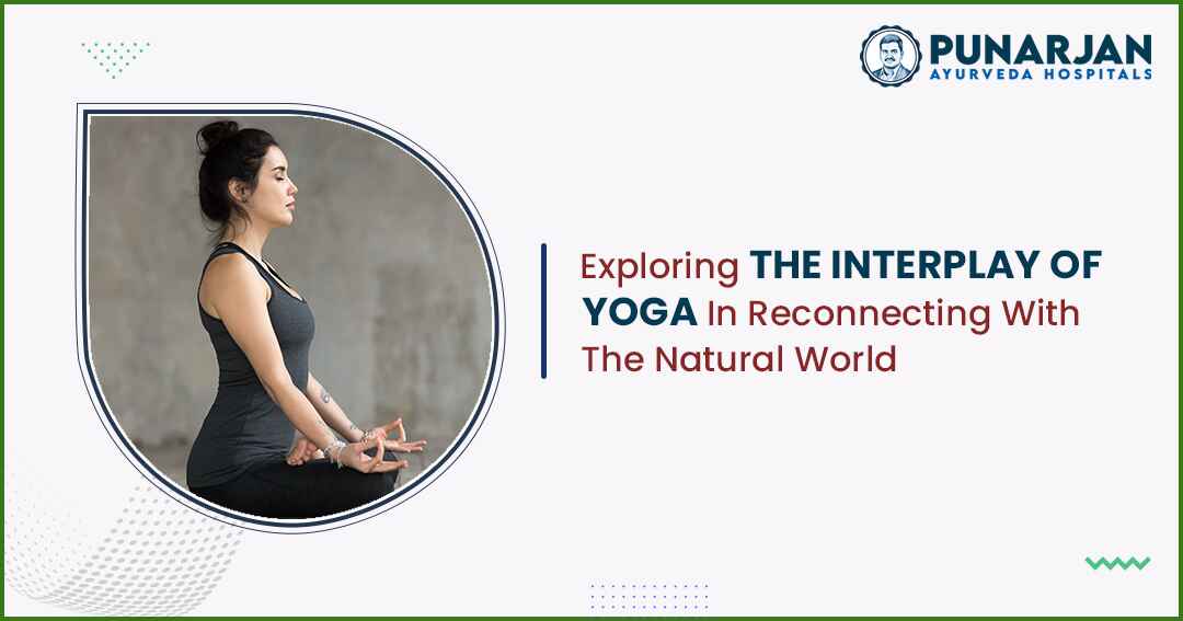 Interplay Of Yoga In Reconnecting With The Natural World