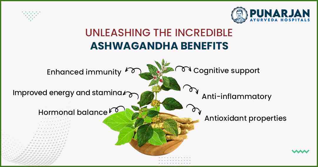You are currently viewing The Incredible Ashwagandha Benefits