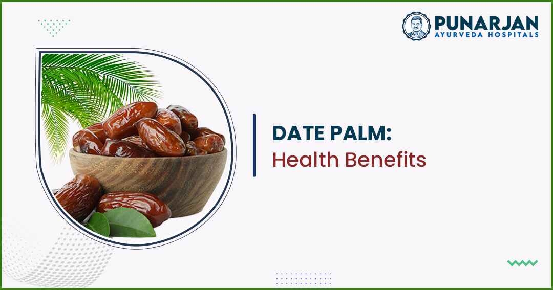 You are currently viewing Date Palm: Health Benefits