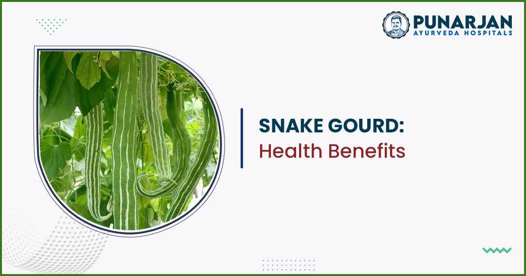 You are currently viewing Snake Gourd: Health Benefits