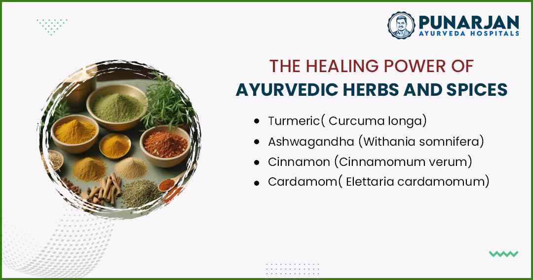 You are currently viewing The Healing Power Of Ayurvedic Herbs And Spices