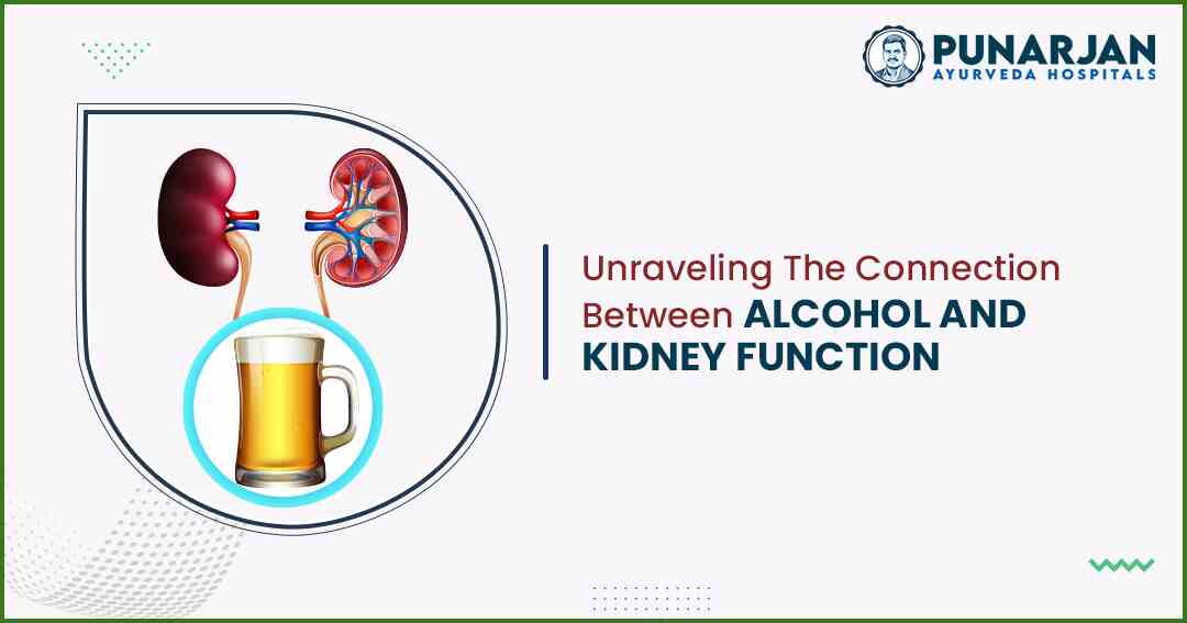 Unraveling The Connection Between Alcohol And Kidney Function - Punarjan Ayurveda