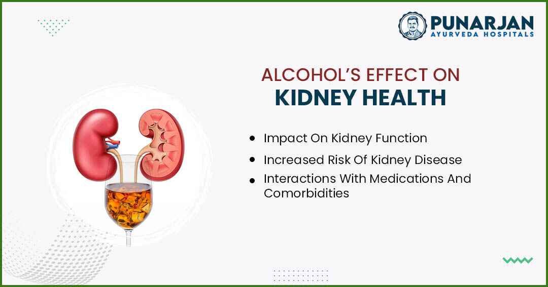 You are currently viewing Alcohol’s Effect On Kidney Health