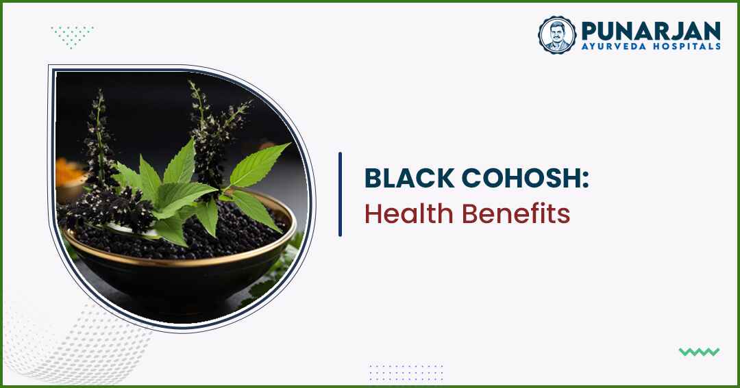 You are currently viewing Black Cohosh: Health Benefits