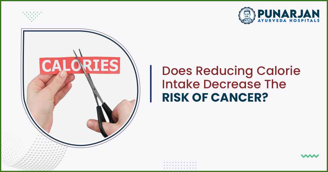 Reducing Calorie Intake Decrease The Risk Of Cancer