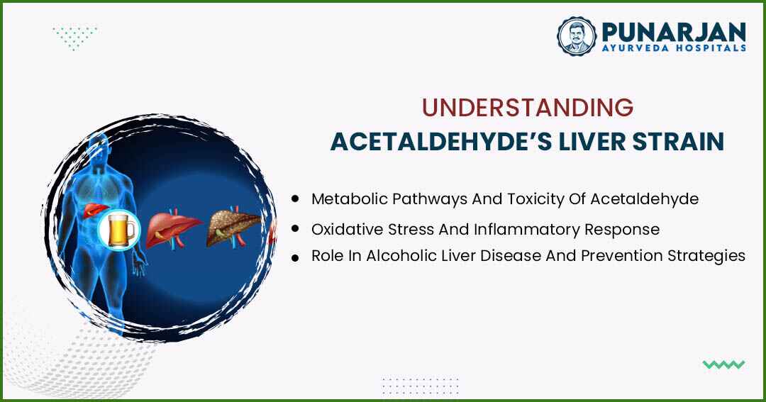 You are currently viewing Understanding Acetaldehyde’s Liver Strain