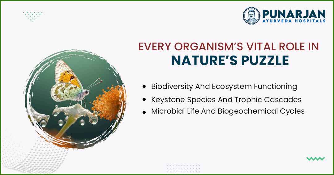 You are currently viewing Every Organism’s Vital Role In Nature’s Puzzle