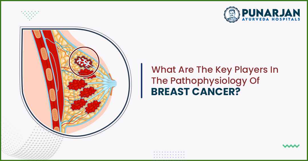 The Pathophysiology Of Breast Cancer