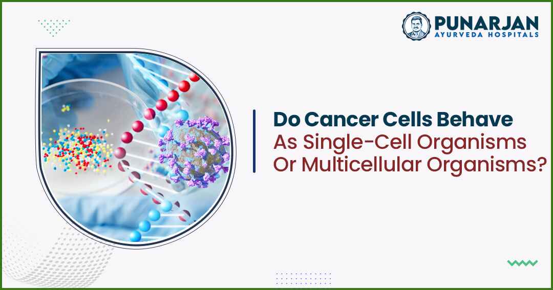 You are currently viewing Do Cancer Cells Behave As Single-Cell Organisms Or Multicellular Organisms?