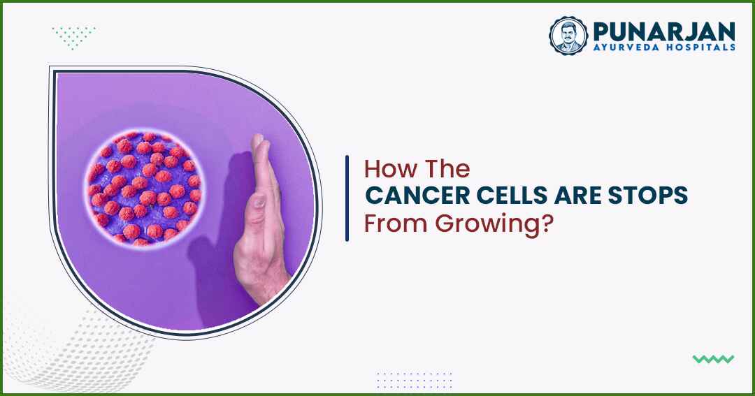How The Cancer Cells Are Stops From Growing?