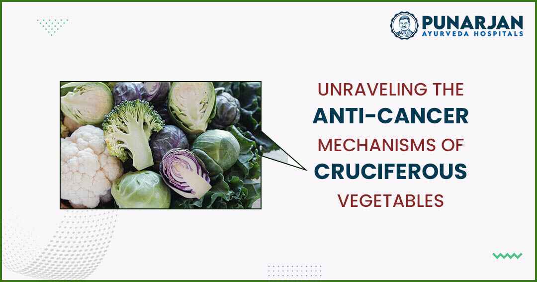 You are currently viewing Unraveling The Anti-Cancer Mechanisms Of Cruciferous Vegetable