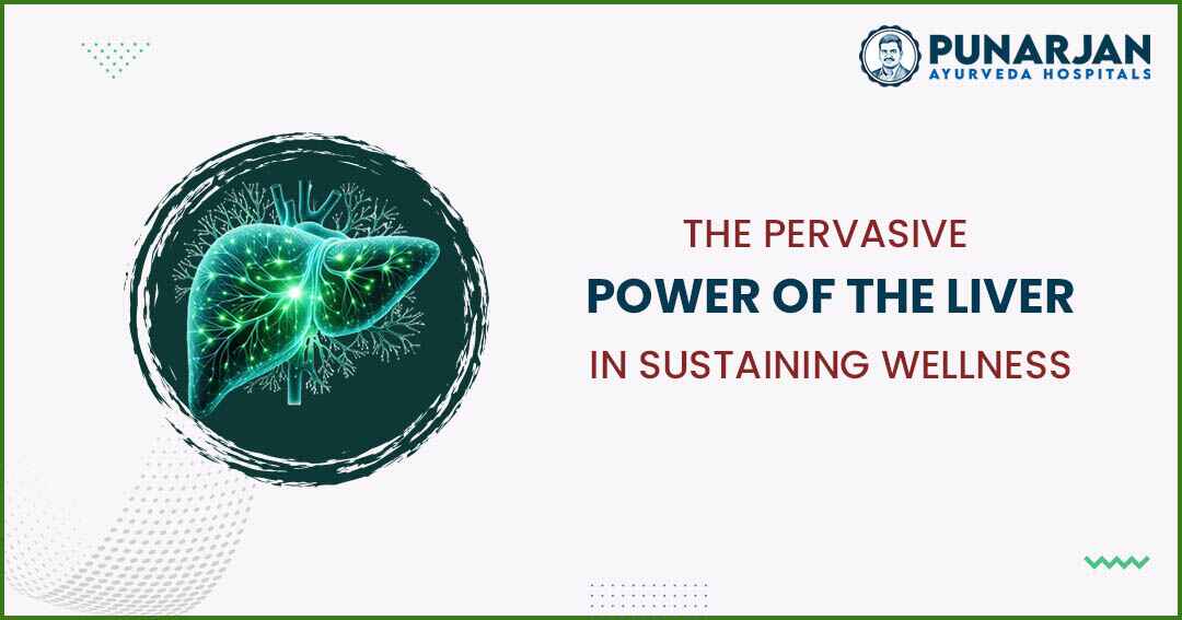 You are currently viewing The Pervasive Power Of The Liver In Sustaining Wellness