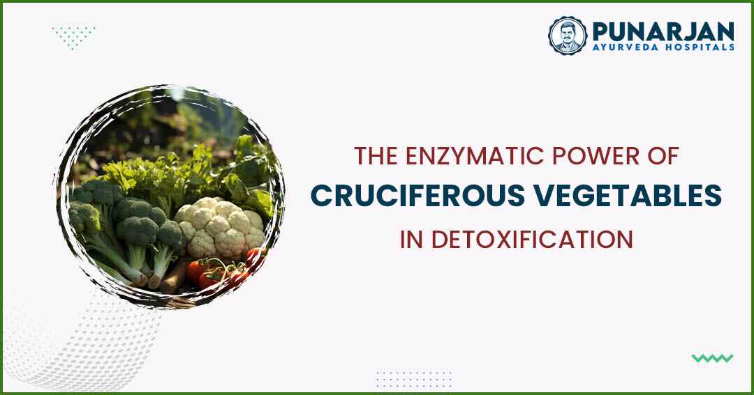 You are currently viewing The Enzymatic Power Of Cruciferous Vegetables In Detoxification