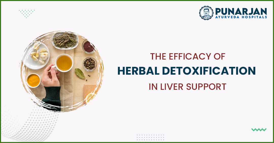 You are currently viewing The Efficacy Of Herbal Detoxification In Liver Support
