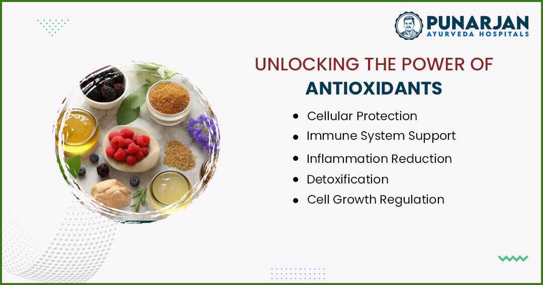 You are currently viewing Unlocking The Power Of Antioxidants