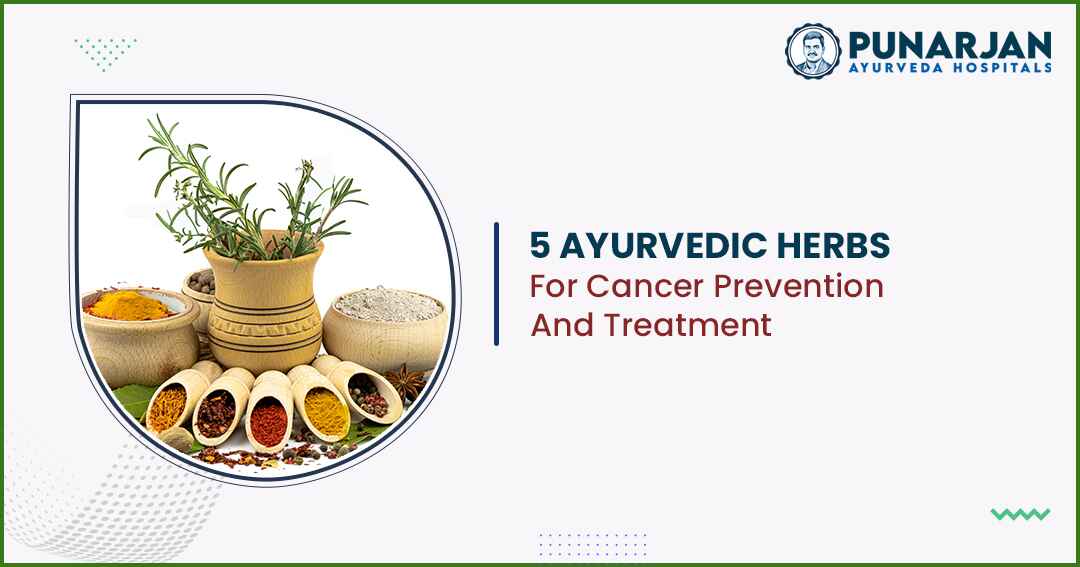 You are currently viewing 5 Ayurvedic Herbs For Cancer Prevention And Treatment
