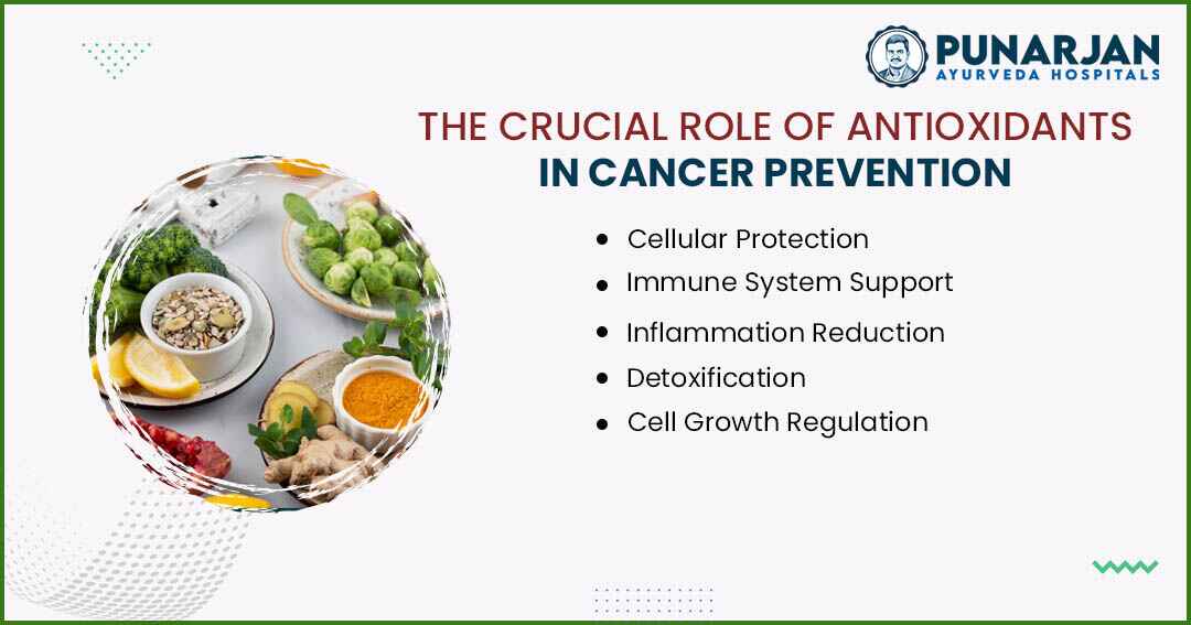 You are currently viewing The Crucial Role Of Antioxidants In Cancer Prevention