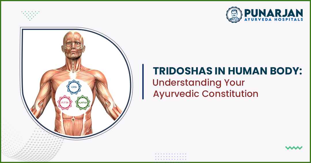You are currently viewing Tridoshas In Human Body: Understanding Your Ayurvedic Constitution