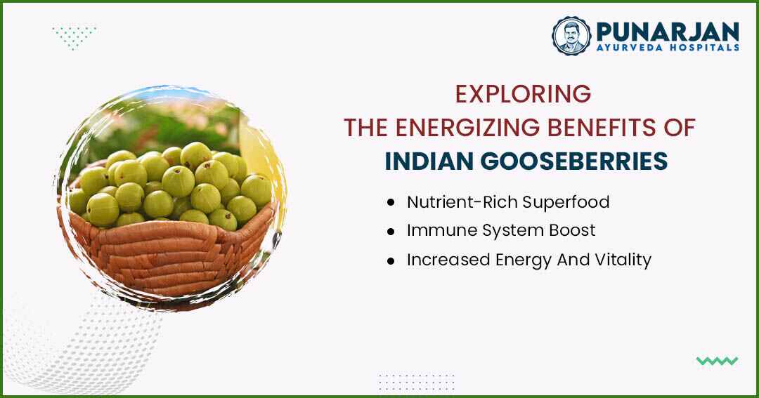 You are currently viewing Exploring The Energizing Benefits Of Indian Gooseberries