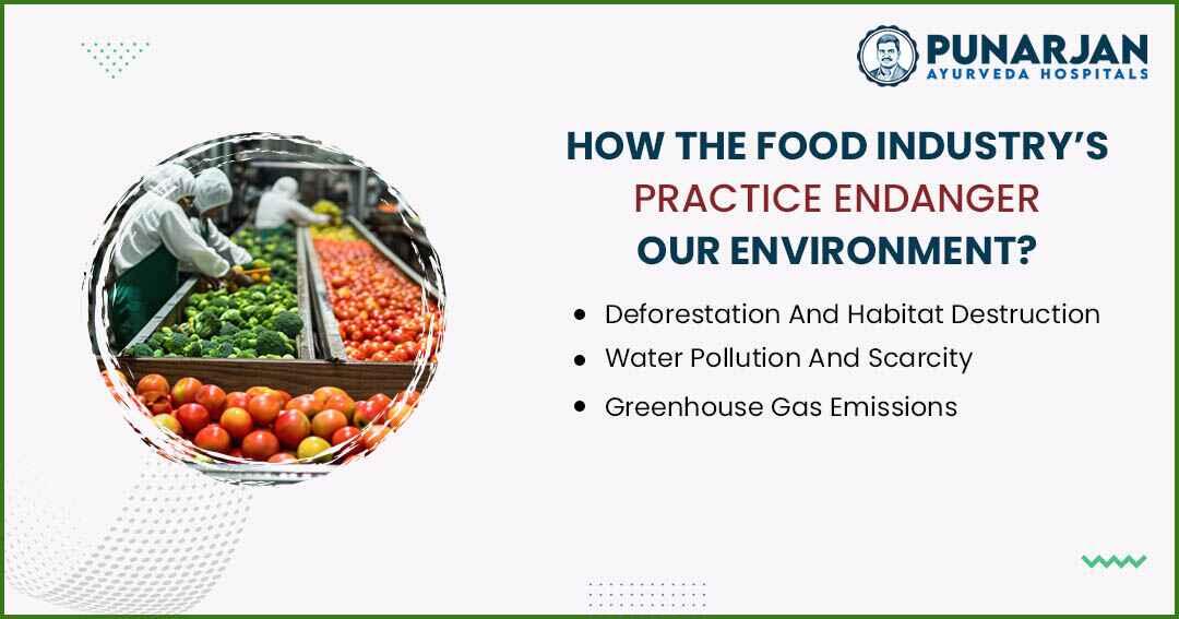You are currently viewing How The Food Industry’s Practice Endanger Our Environment