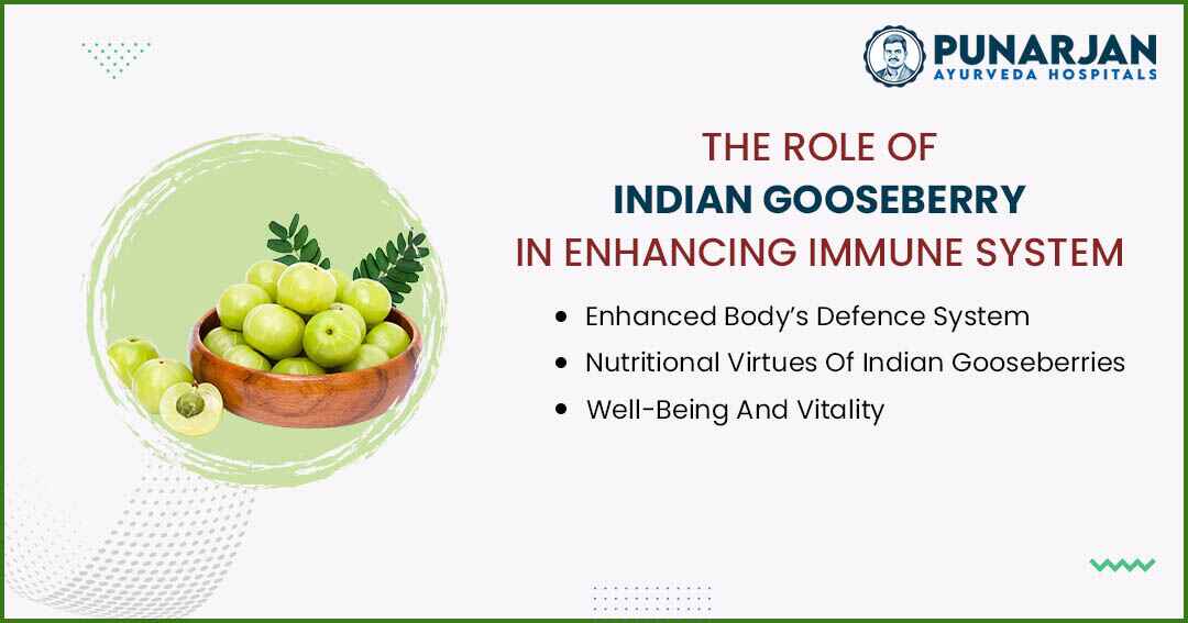 You are currently viewing The Role Of Indian Gooseberry In Enhancing Immune System