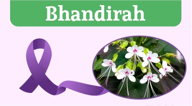 Bhandirah