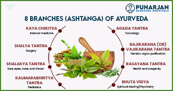 Eight-Branches-Ashtanga-Of-Ayurveda-copy-2