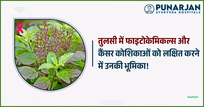 Phytochemicals in Tulsi
