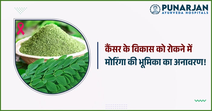 Moringa's role in preventing cancer growth