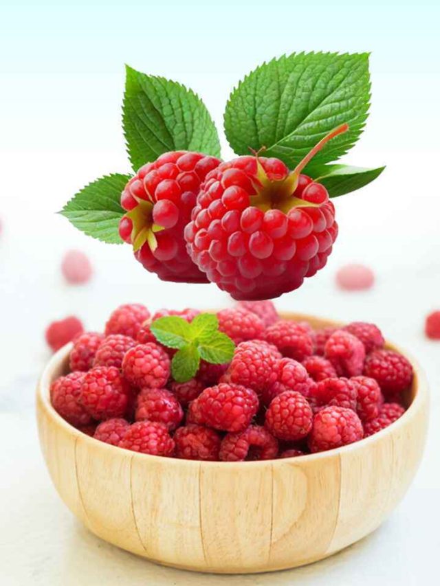 Raspberries: A Tasty Ally in Cancer Prevention