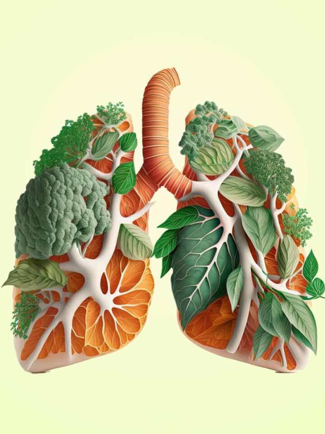 Balancing Lung Health With Ayurveda In Cancer Care