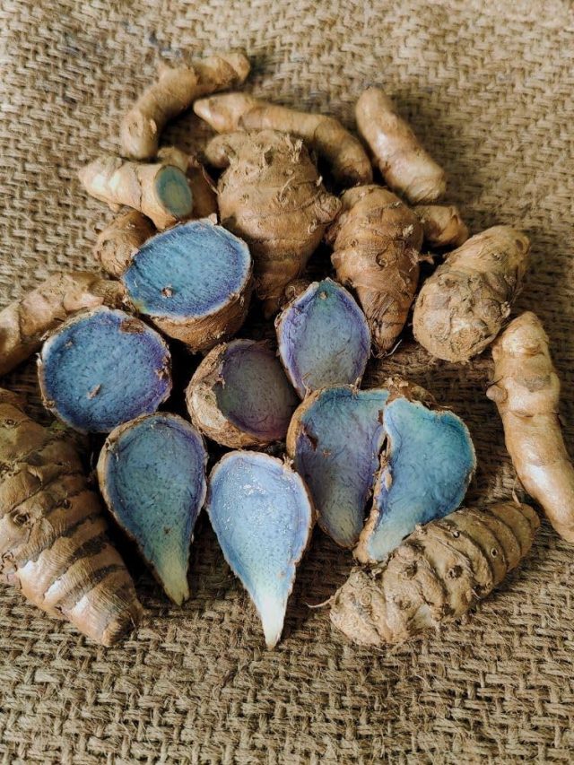 The Secret Spice: Unlocking Black Turmeric’s Power