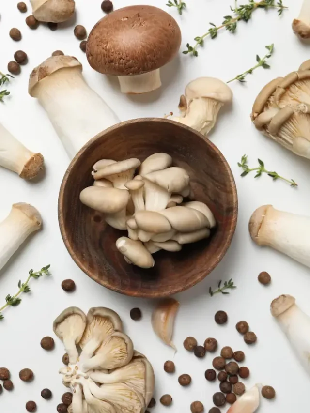 Health Benefits of Mushrooms