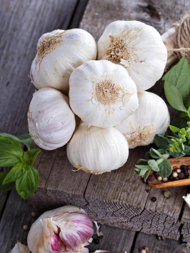 Nature’s Medicine: How Garlic Fights Cancer