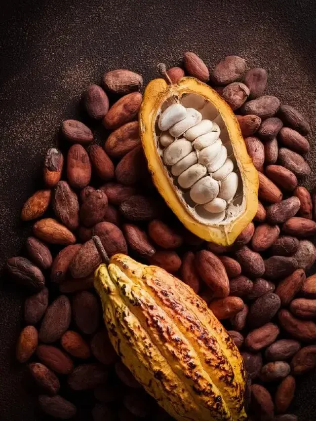 Health Benefits of Cocoa Tree